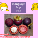 มังคุด