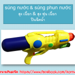 ปืนฉีดน้ำ